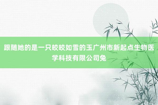 跟随她的是一只皎皎如雪的玉广州市新起点生物医学科技有限公司兔